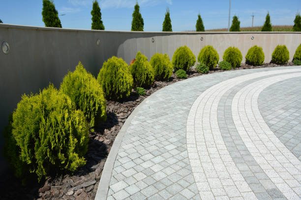 Best Driveway Repair Near Me  in Lake Barcroft, VA